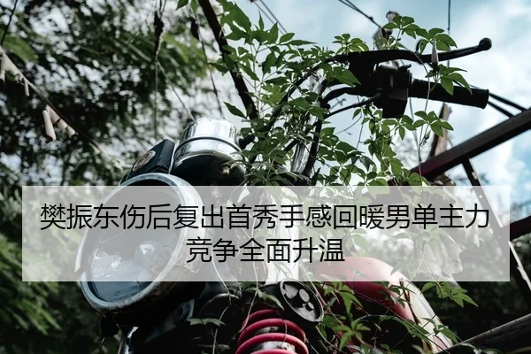 樊振东伤后复出首秀手感回暖男单主力竞争全面升温